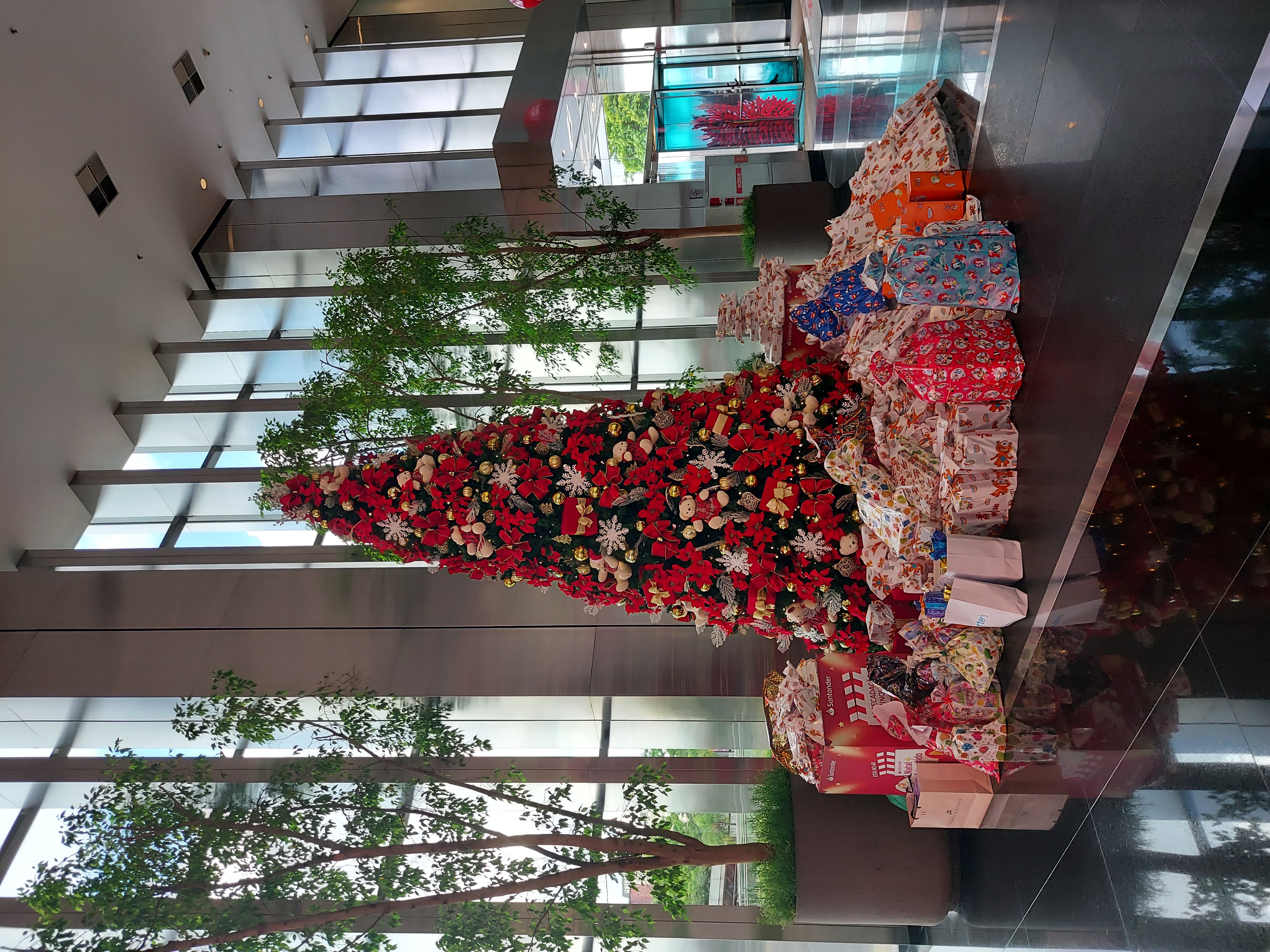 Entrega de natal