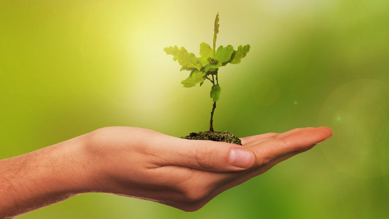 Ações Voluntárias - Mês do Meio Ambiente